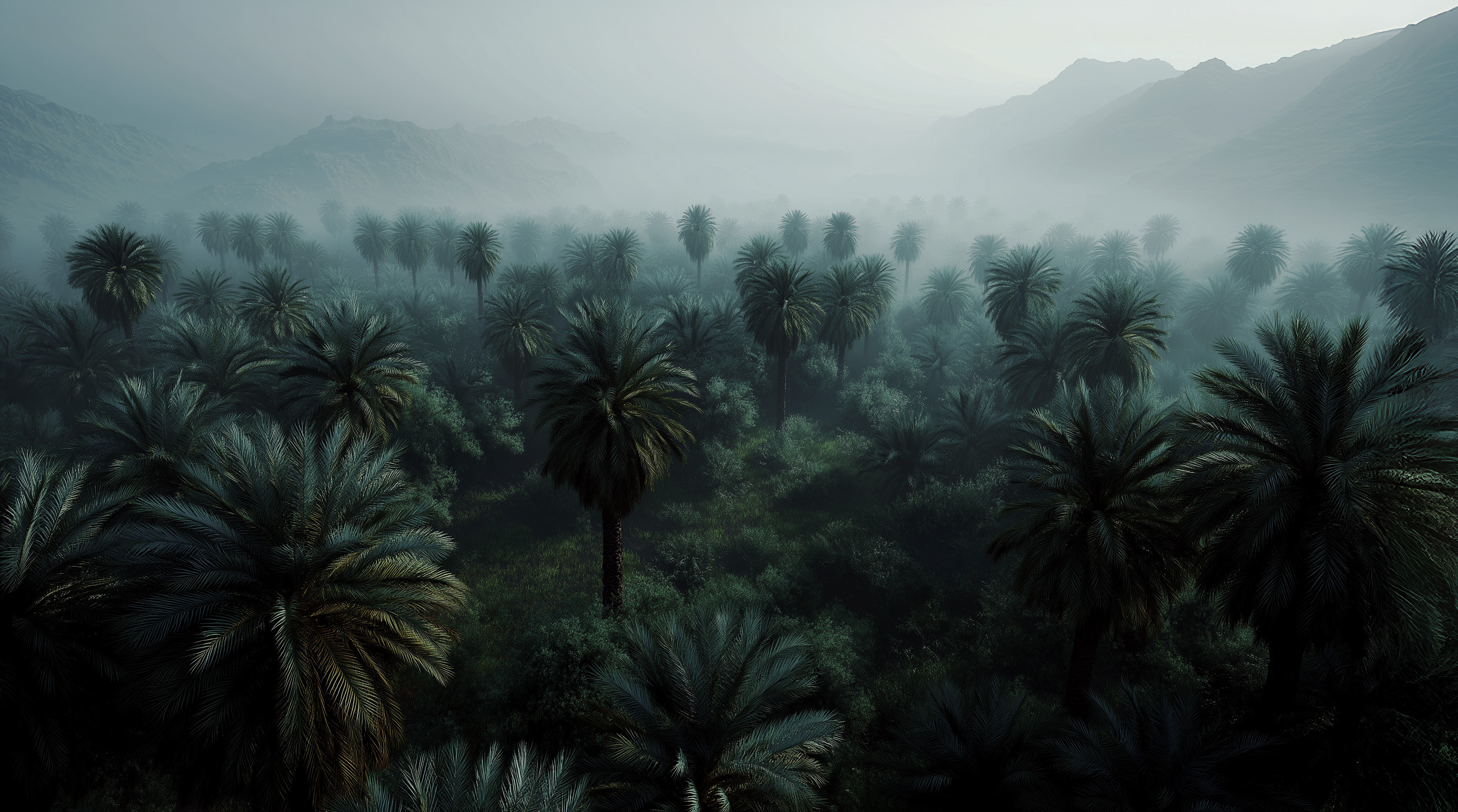 Paisaje con palmeras utilizado para presentar Dubai South como un entorno urbano verde y espacioso.