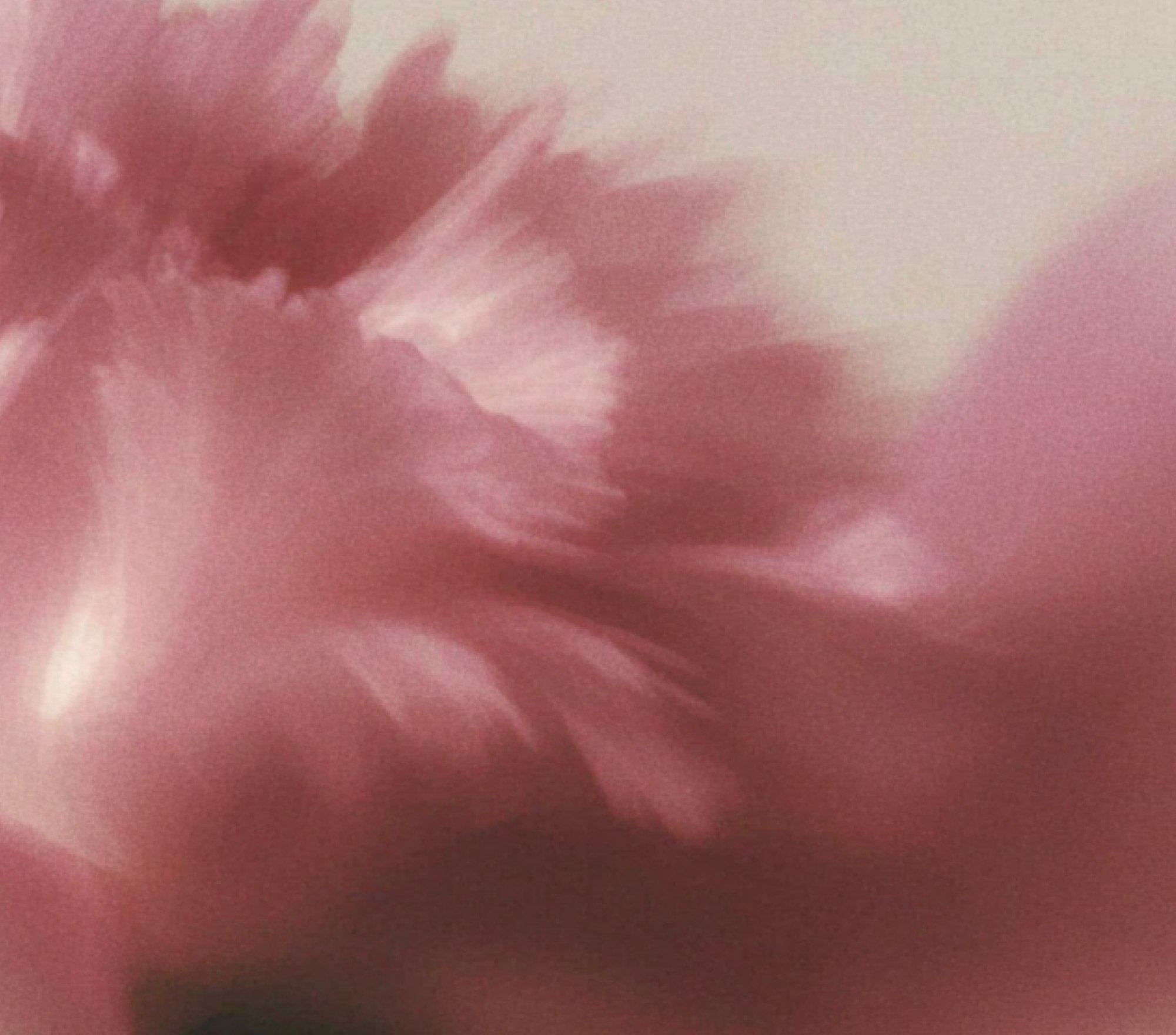 Abstract pink floral texture used in HADO and BEYOND branding.