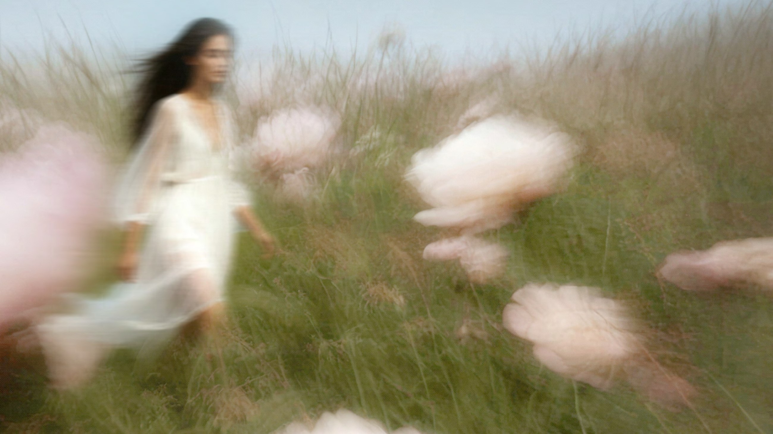 Soft-focus editorial image of a woman walking through a field of pale flowers.